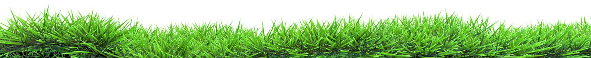 slide grass